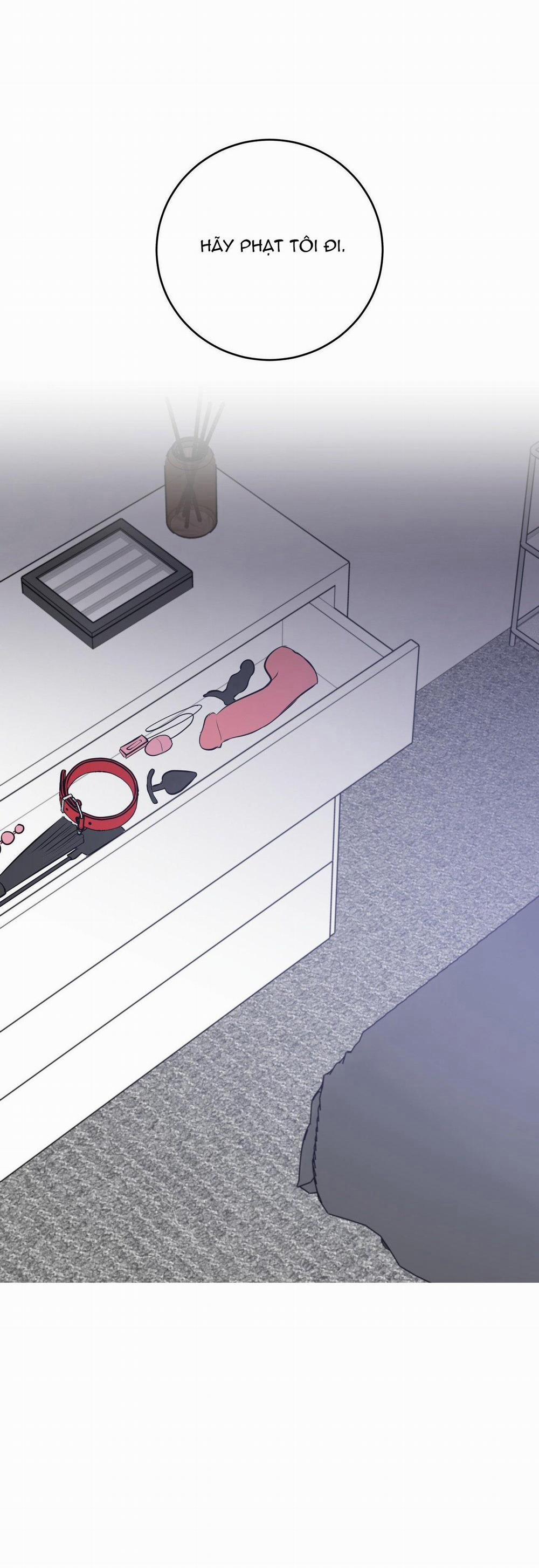 Điều 260 Bộ Luật Hình Sự 5 trang 2