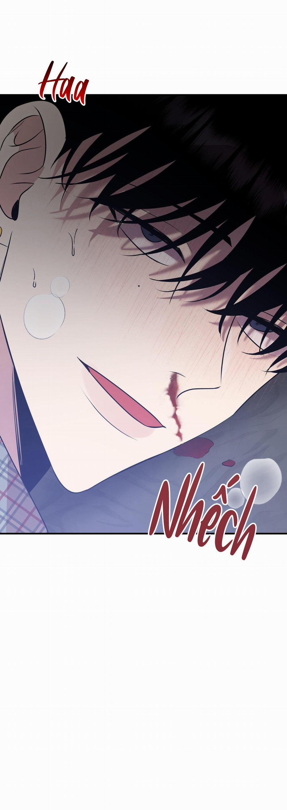 Điều 260 Bộ Luật Hình Sự 5 trang 25