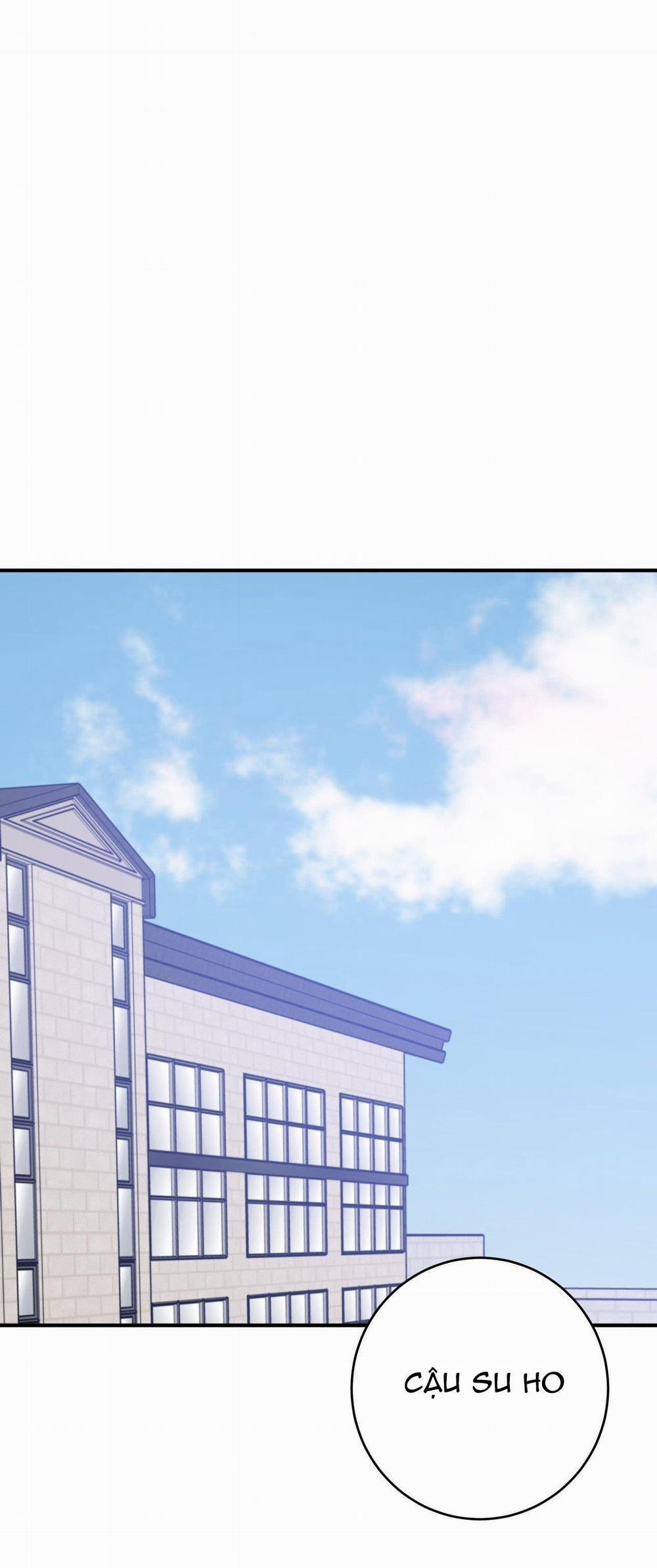 Điều 260 Bộ Luật Hình Sự 5 trang 26