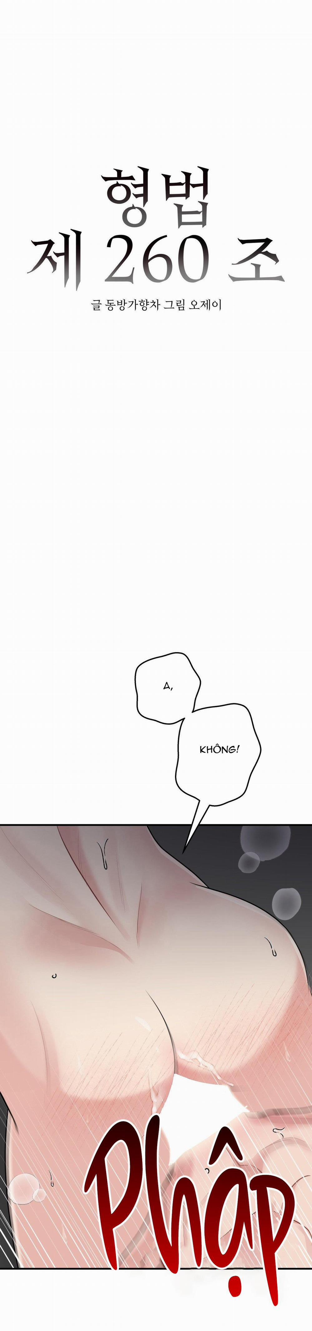 Điều 260 Bộ Luật Hình Sự 5 trang 3