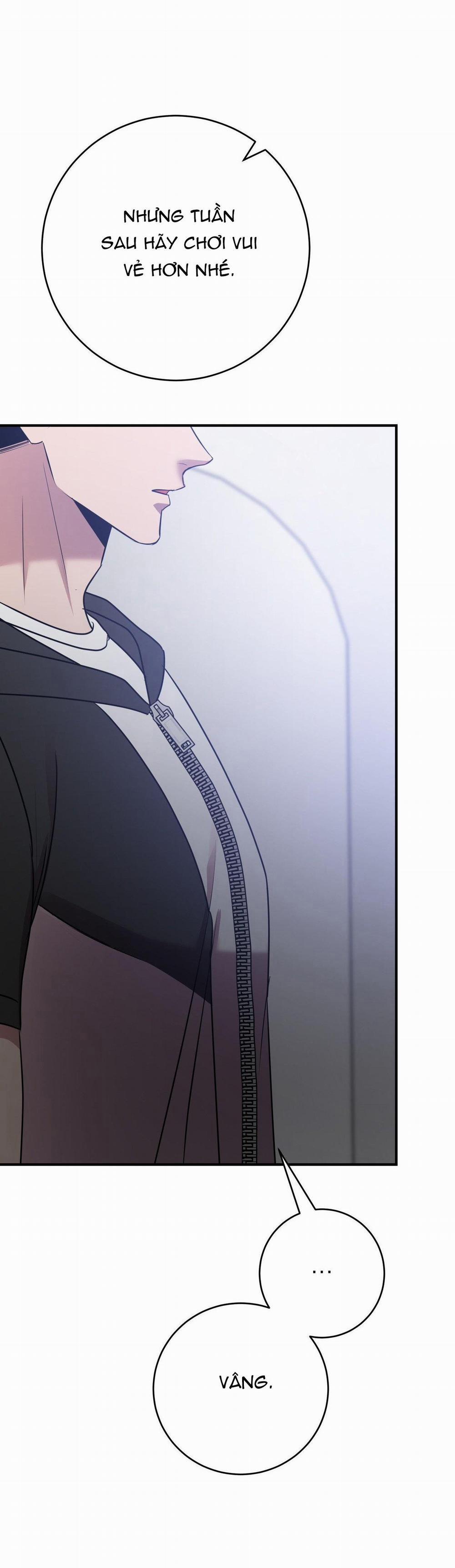 Điều 260 Bộ Luật Hình Sự 5 trang 36