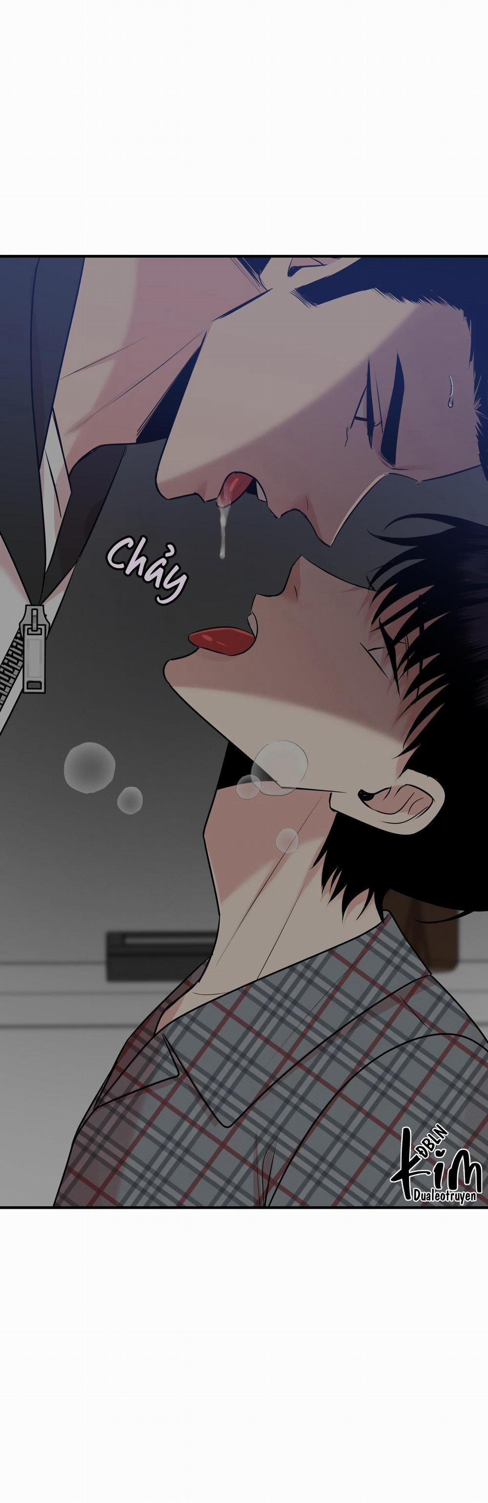 Điều 260 Bộ Luật Hình Sự 5 trang 49