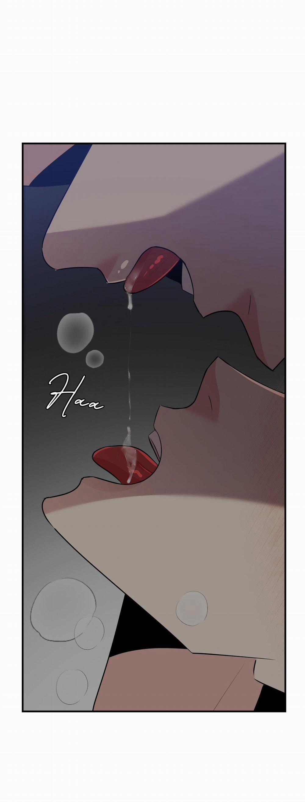 Điều 260 Bộ Luật Hình Sự 5 trang 51