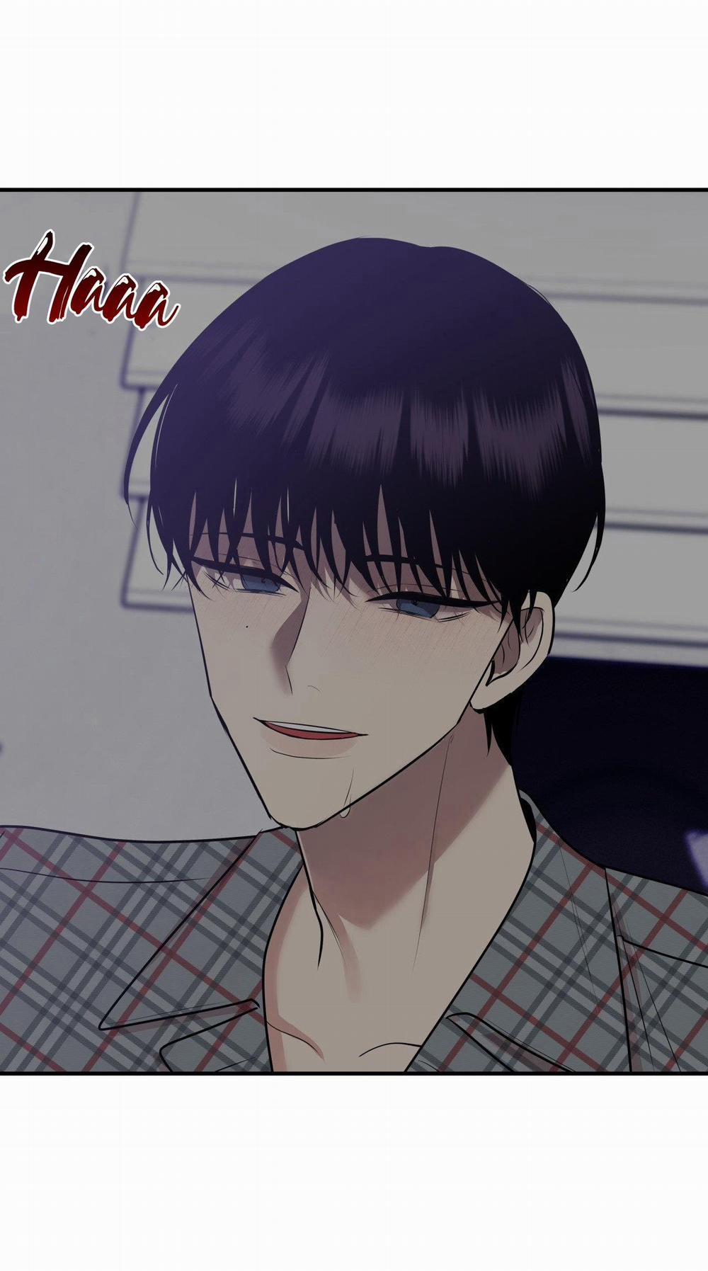 Điều 260 Bộ Luật Hình Sự 5 trang 53