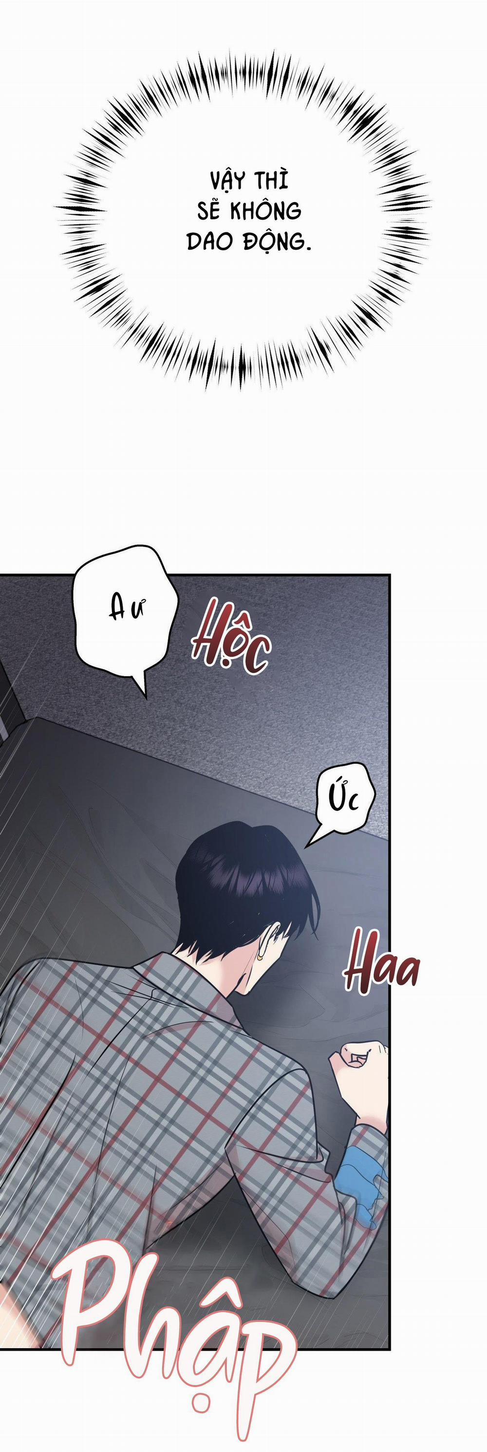 Điều 260 Bộ Luật Hình Sự 5 trang 8