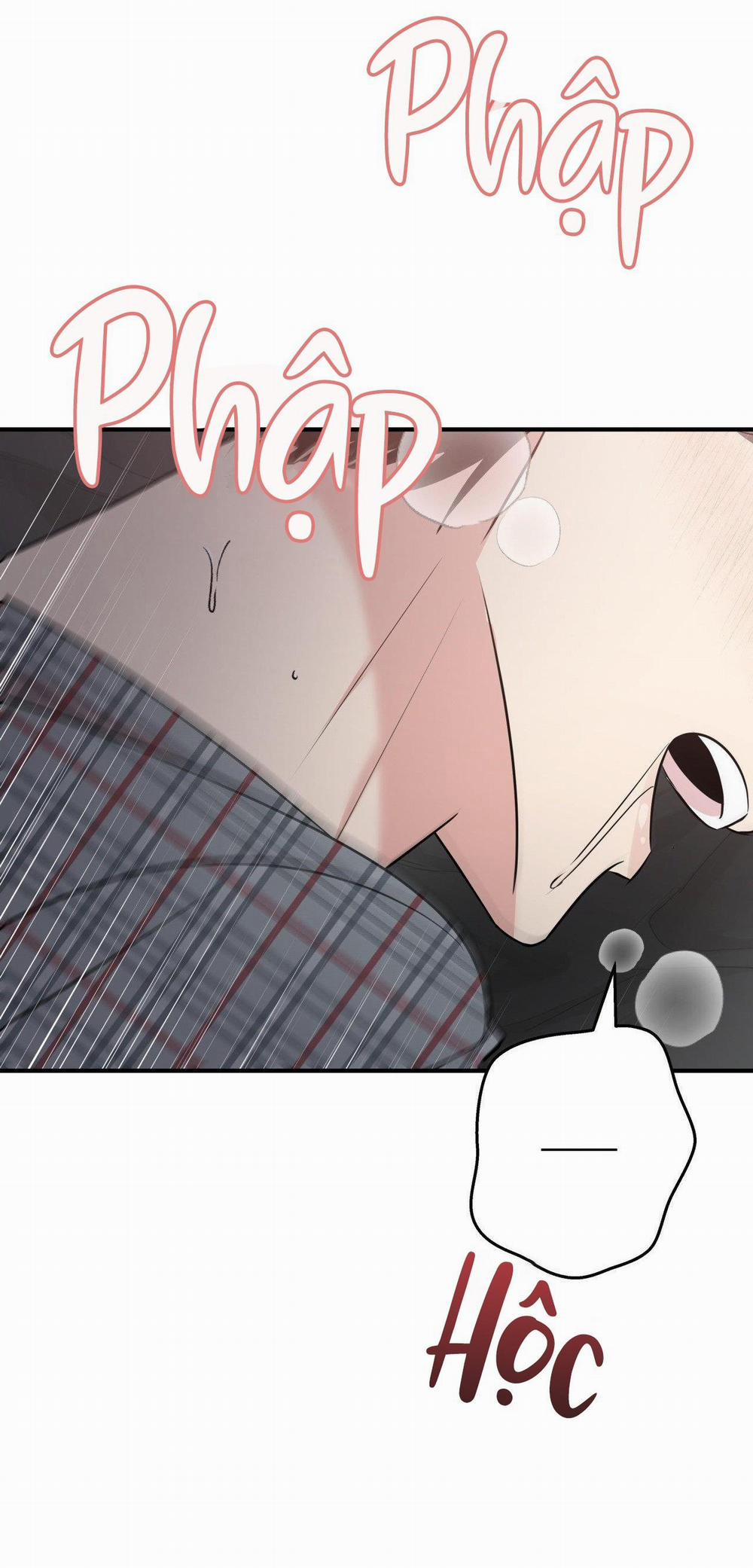 Điều 260 Bộ Luật Hình Sự 5 trang 9