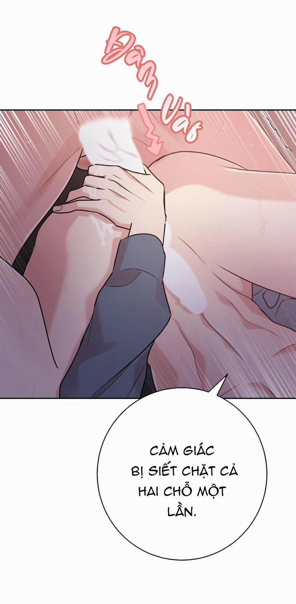 Điều 260 Bộ Luật Hình Sự 6 trang 31