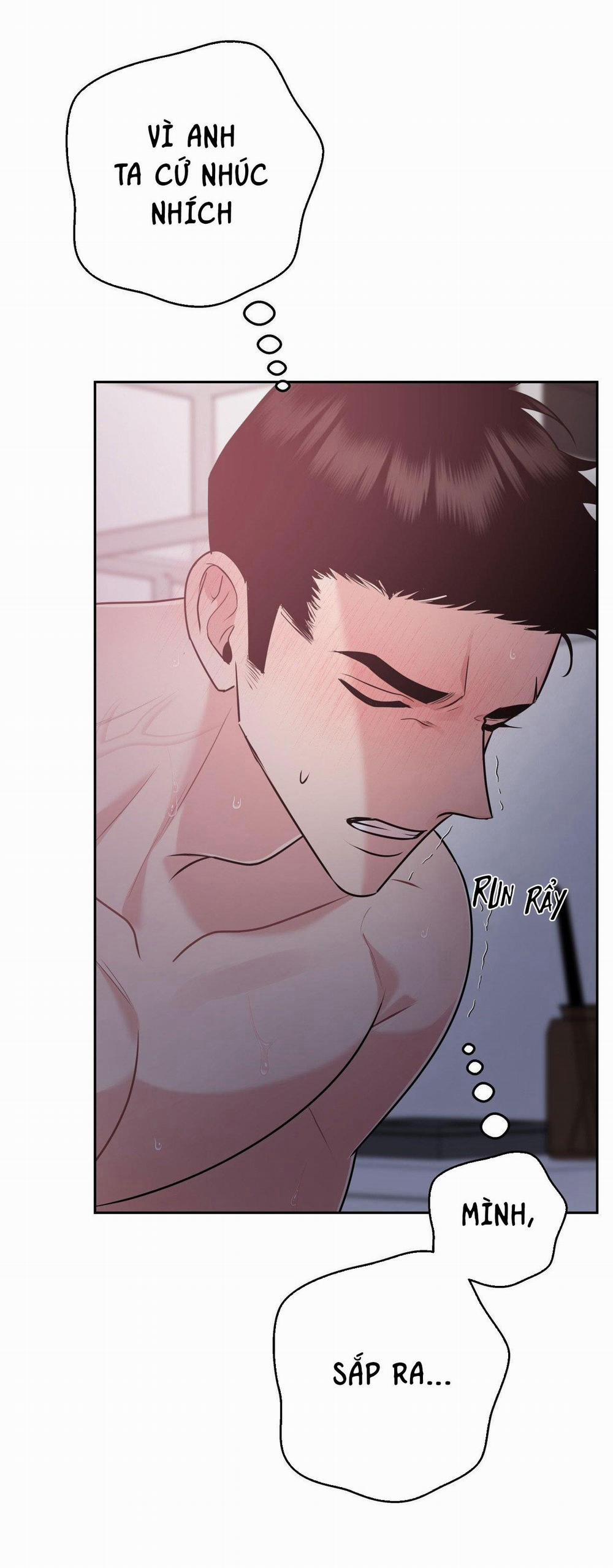 Điều 260 Bộ Luật Hình Sự 6 trang 37