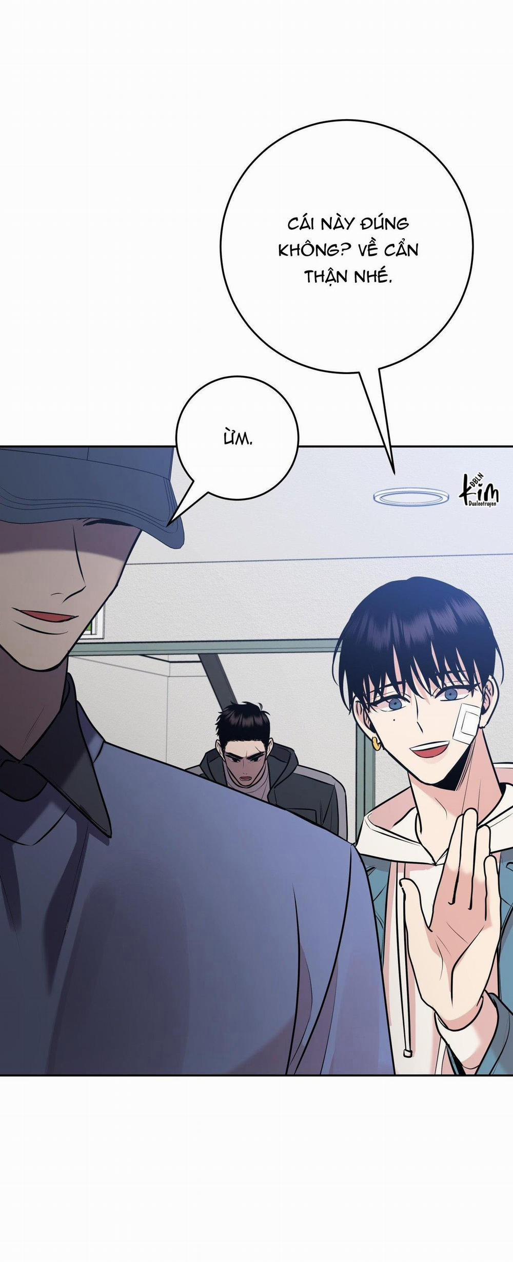 Điều 260 Bộ Luật Hình Sự 7 trang 37