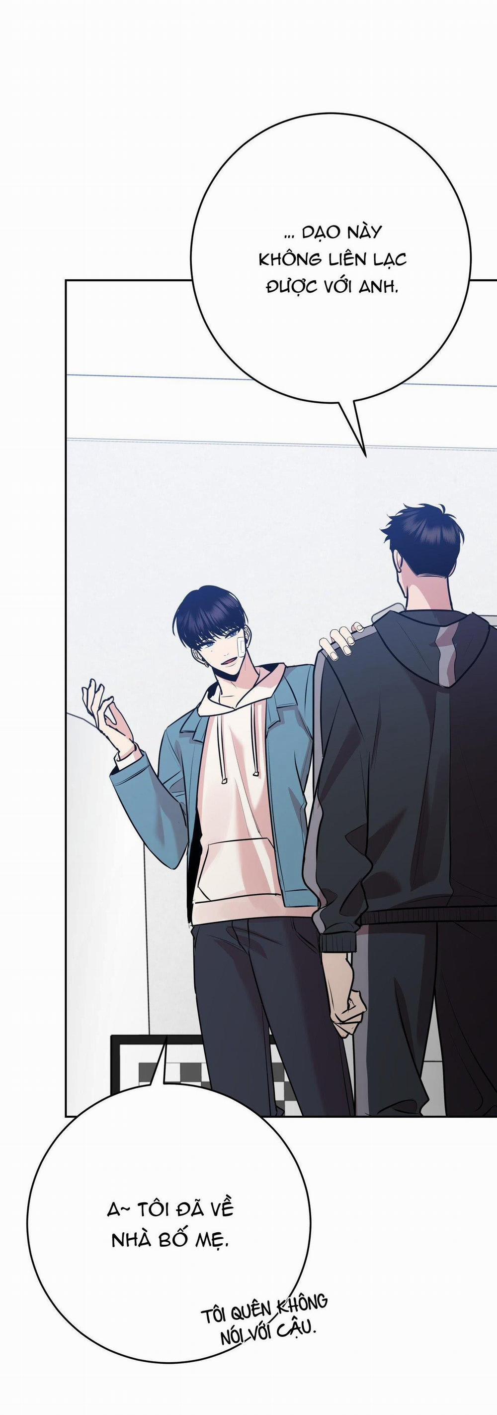 Điều 260 Bộ Luật Hình Sự 7 trang 43