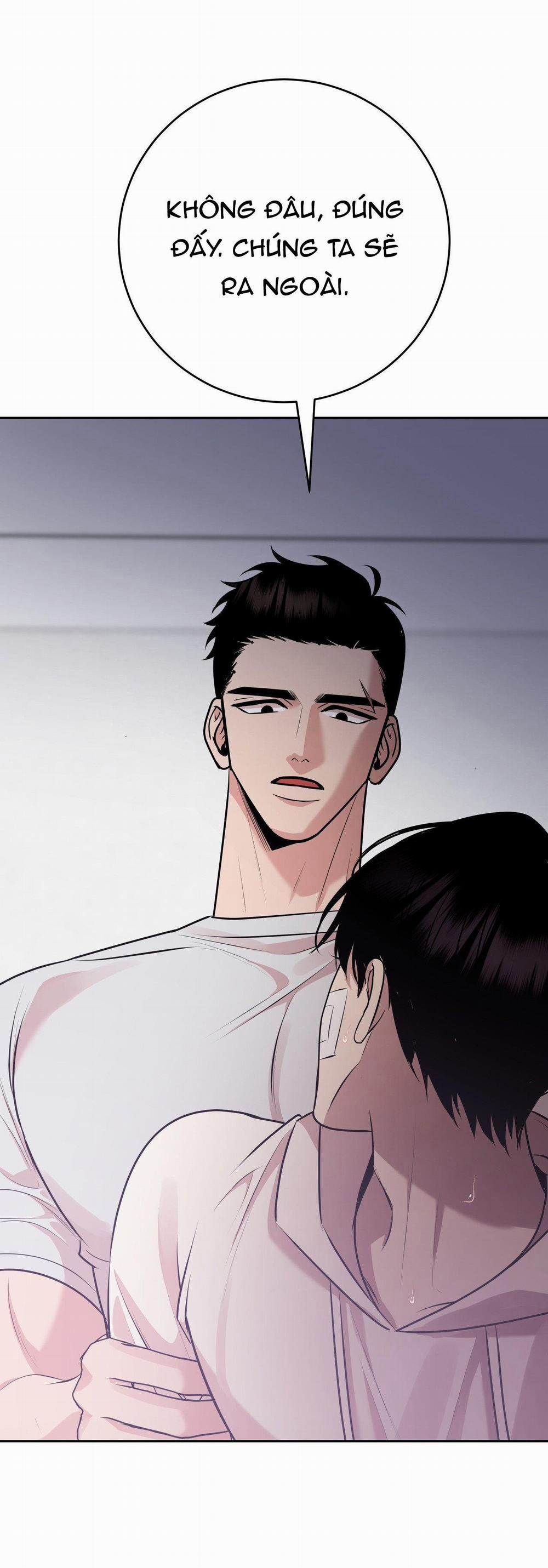 Điều 260 Bộ Luật Hình Sự 8 trang 15