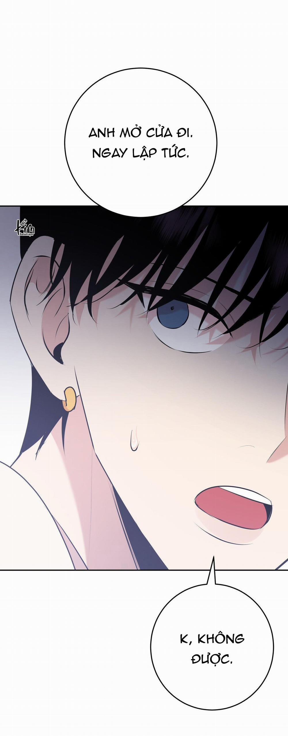 Điều 260 Bộ Luật Hình Sự 8 trang 16