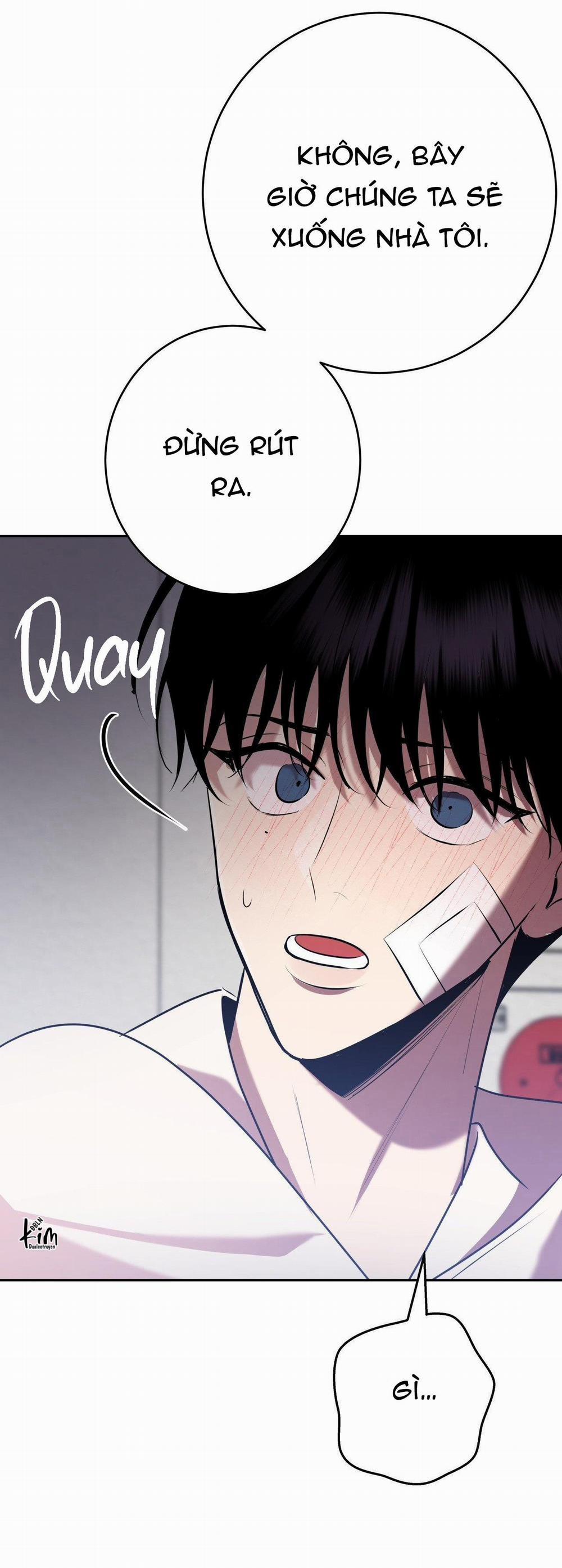 Điều 260 Bộ Luật Hình Sự 8 trang 24