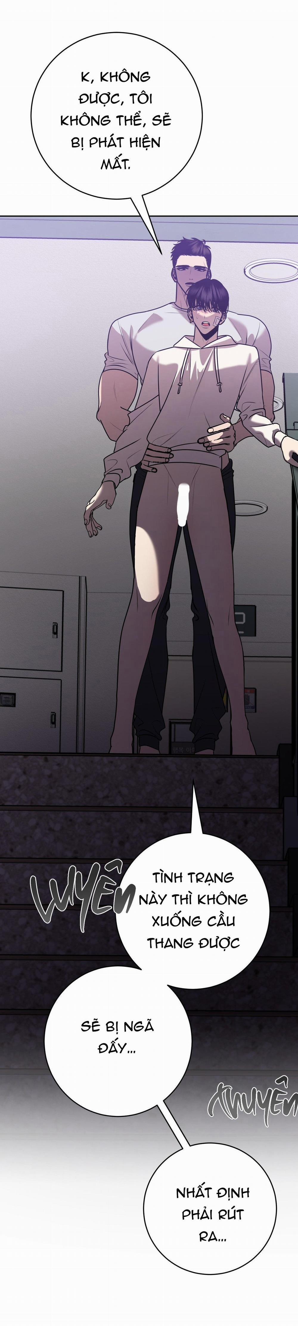 Điều 260 Bộ Luật Hình Sự 8 trang 27