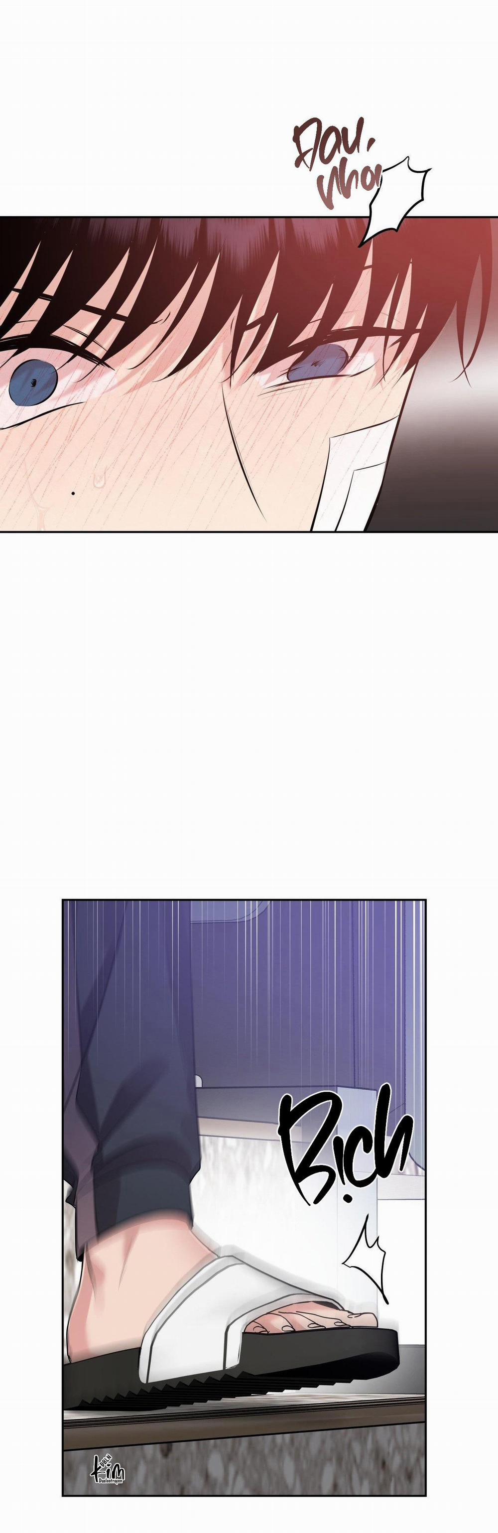 Điều 260 Bộ Luật Hình Sự 8 trang 35