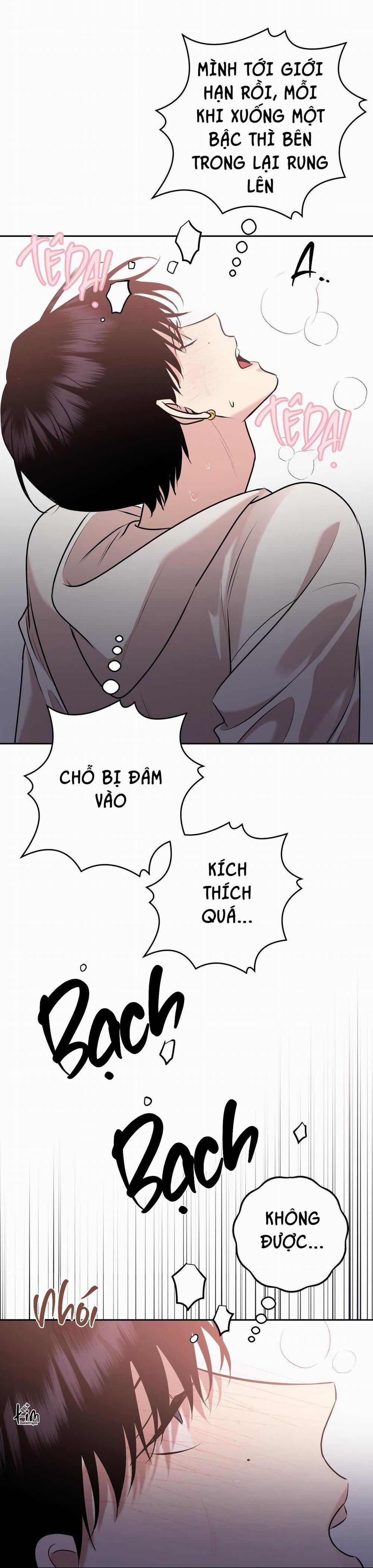 Điều 260 Bộ Luật Hình Sự 8 trang 36