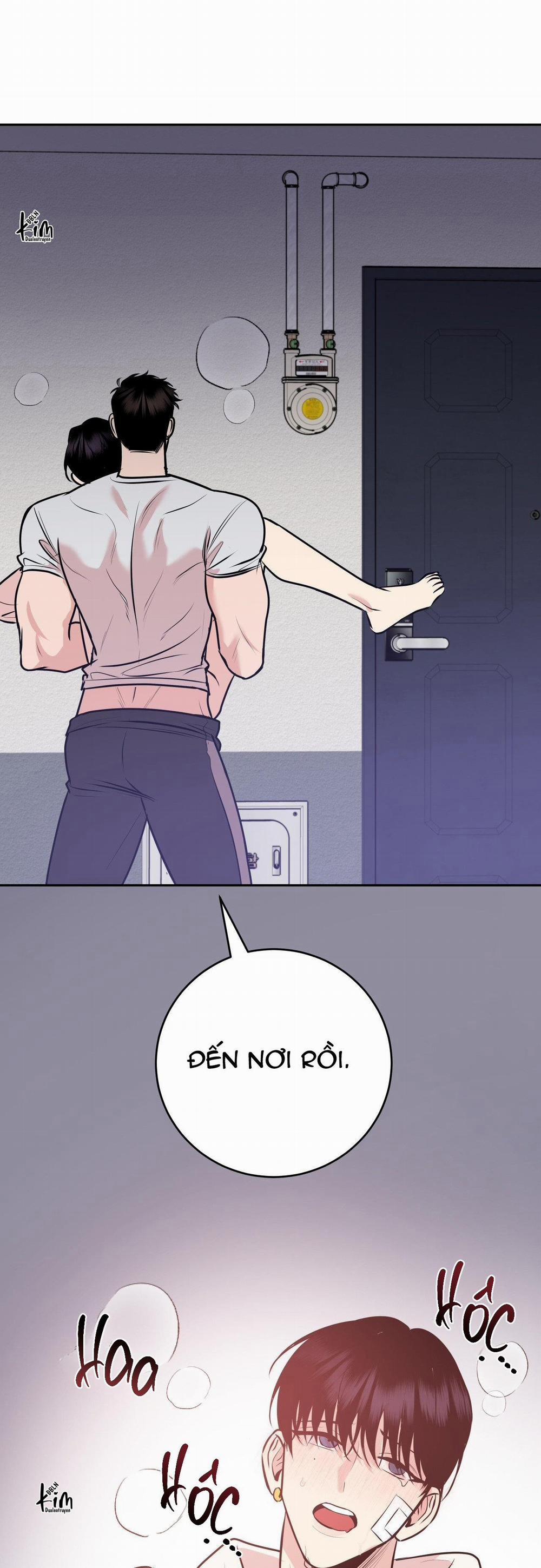 Điều 260 Bộ Luật Hình Sự 8 trang 38