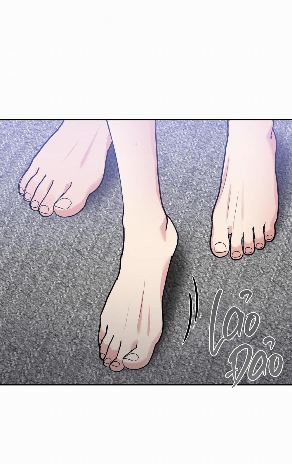 Điều 260 Bộ Luật Hình Sự 8 trang 5