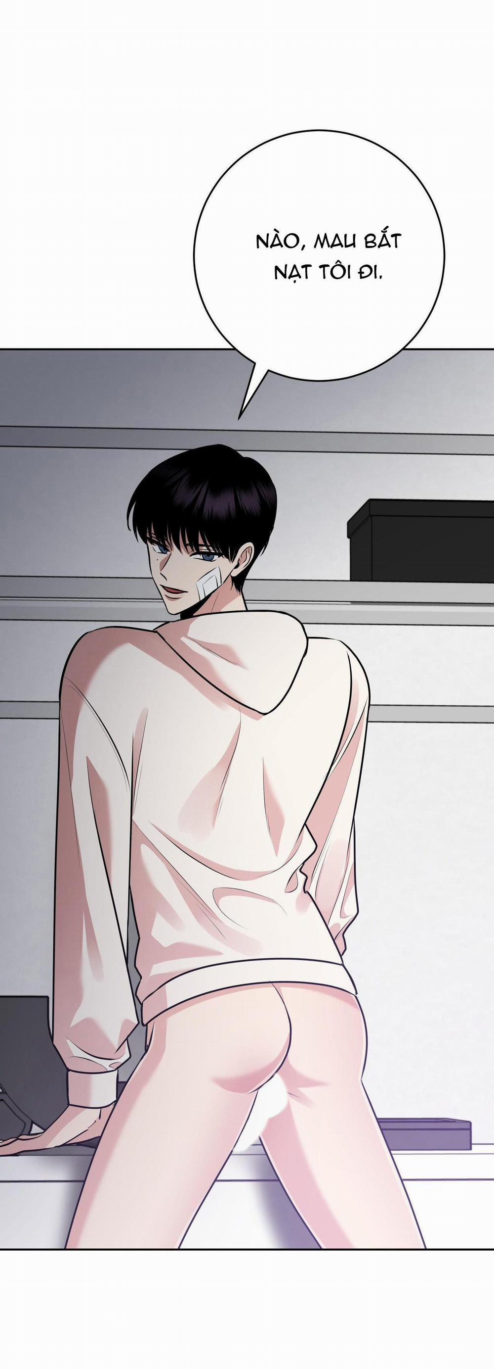 Điều 260 Bộ Luật Hình Sự 8 trang 6