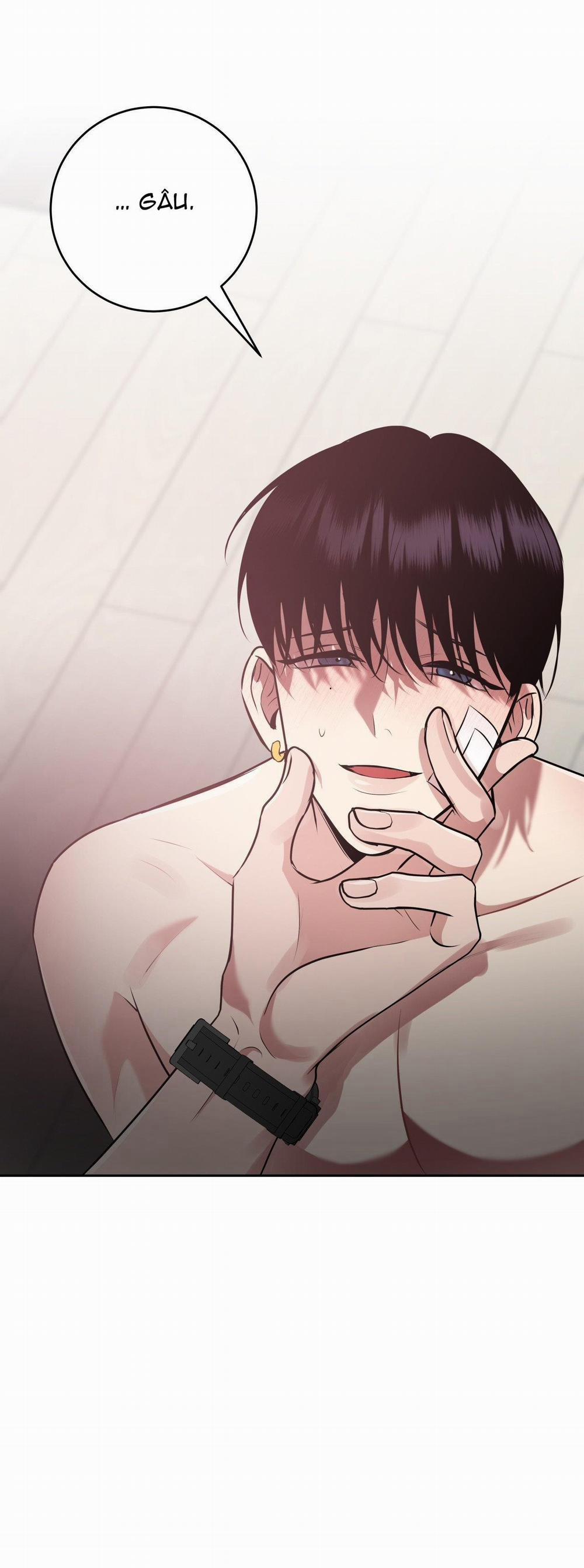 Điều 260 Bộ Luật Hình Sự 9 trang 12