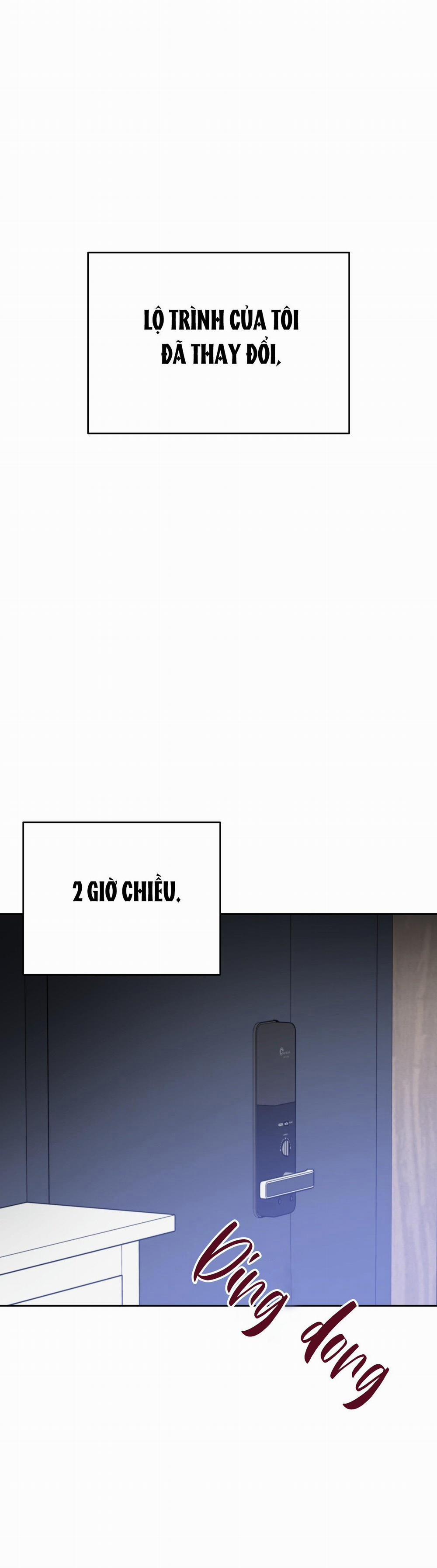 Điều 260 Bộ Luật Hình Sự 9 trang 14