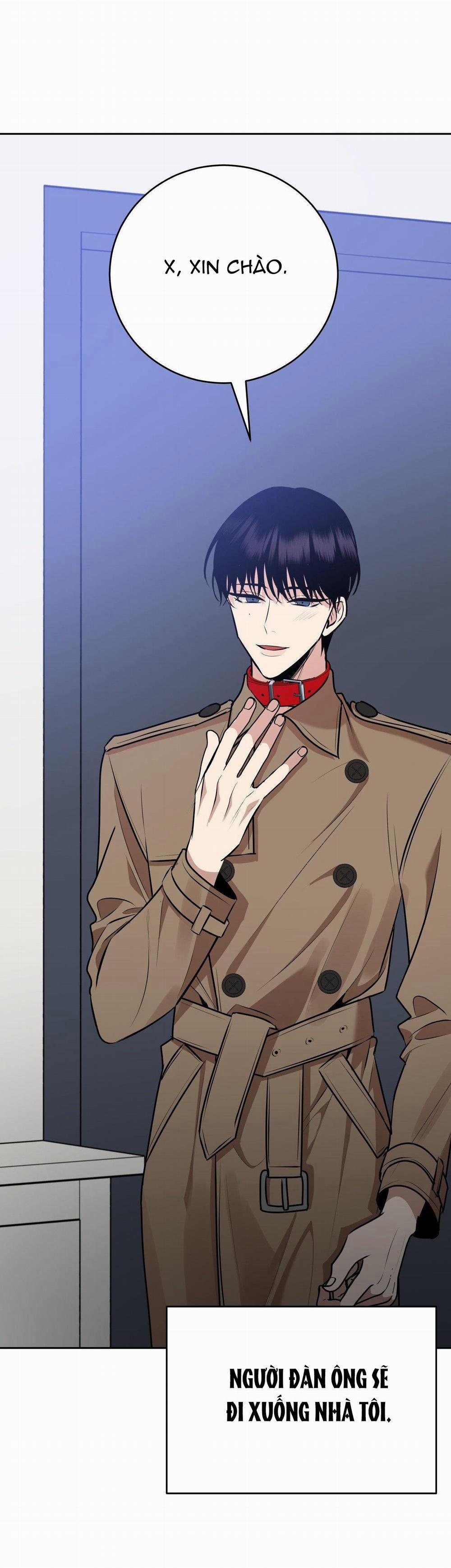 Điều 260 Bộ Luật Hình Sự 9 trang 15