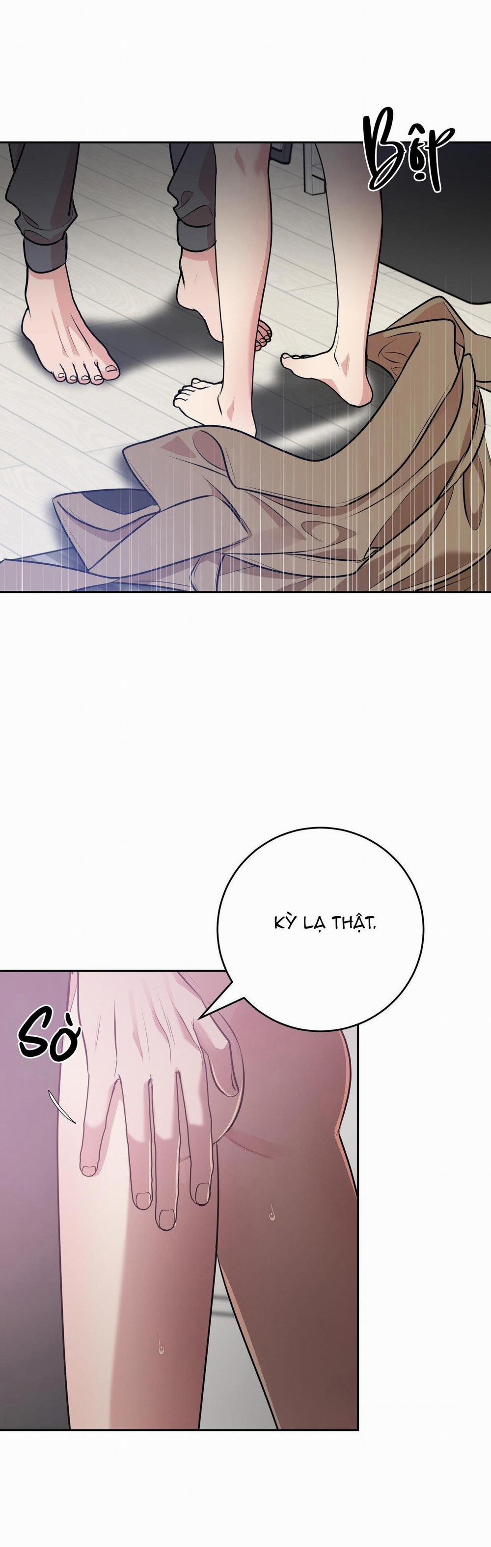 Điều 260 Bộ Luật Hình Sự 9 trang 19