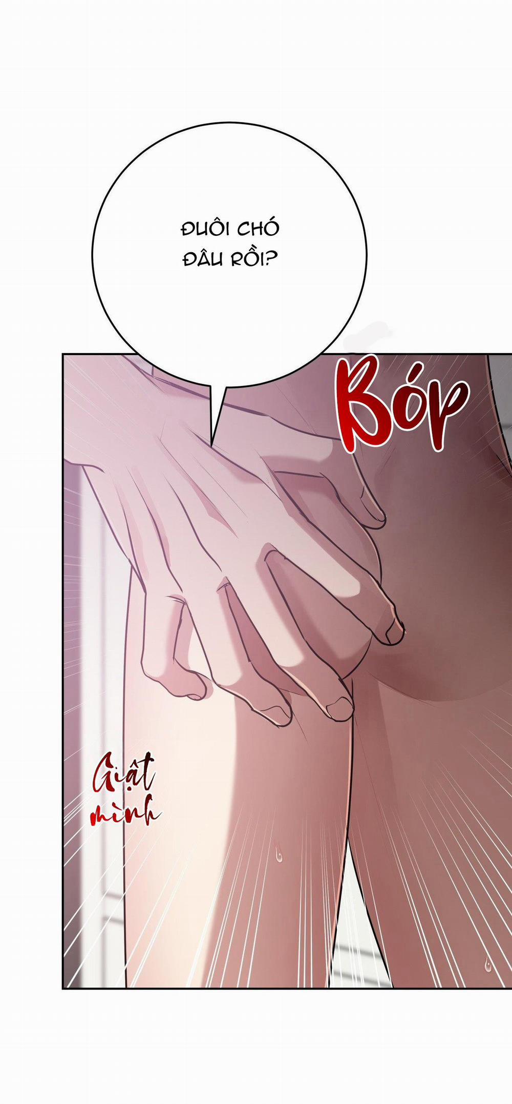 Điều 260 Bộ Luật Hình Sự 9 trang 20