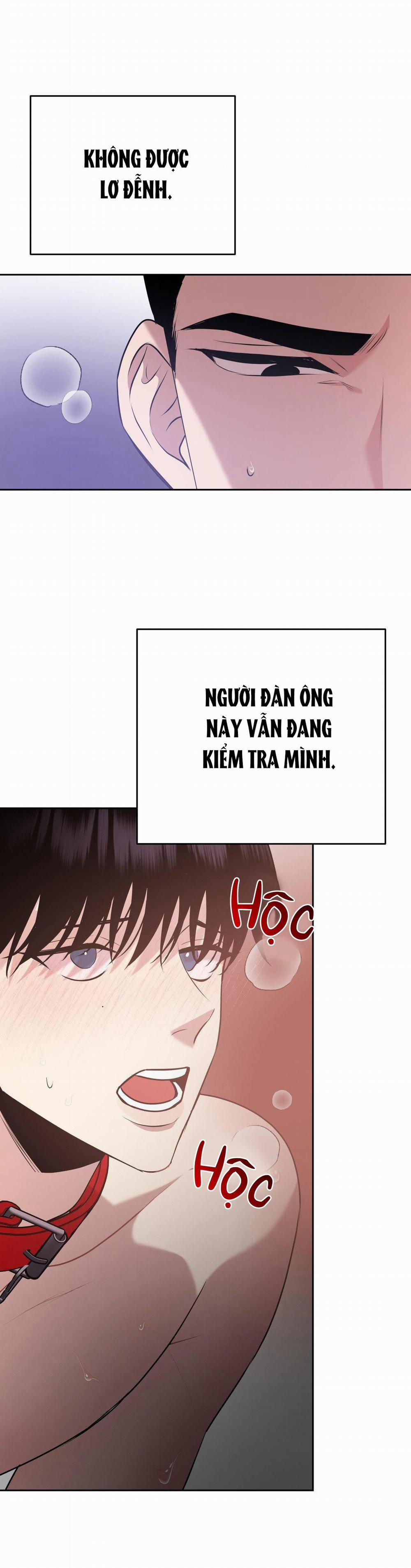 Điều 260 Bộ Luật Hình Sự 9 trang 30