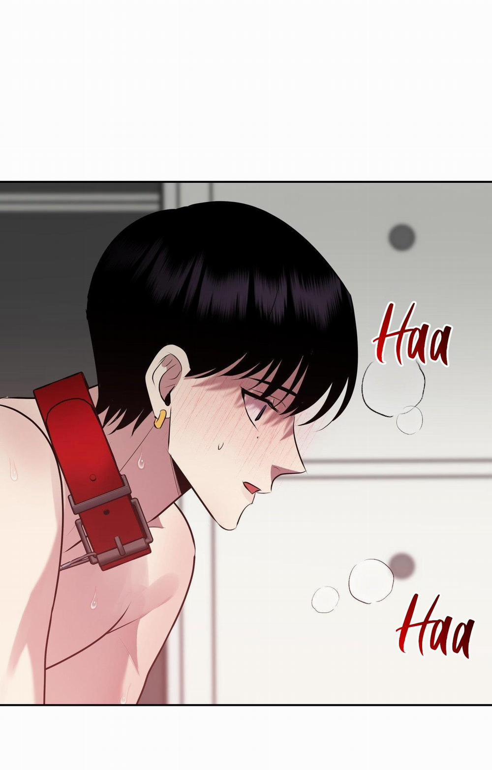 Điều 260 Bộ Luật Hình Sự 9 trang 33