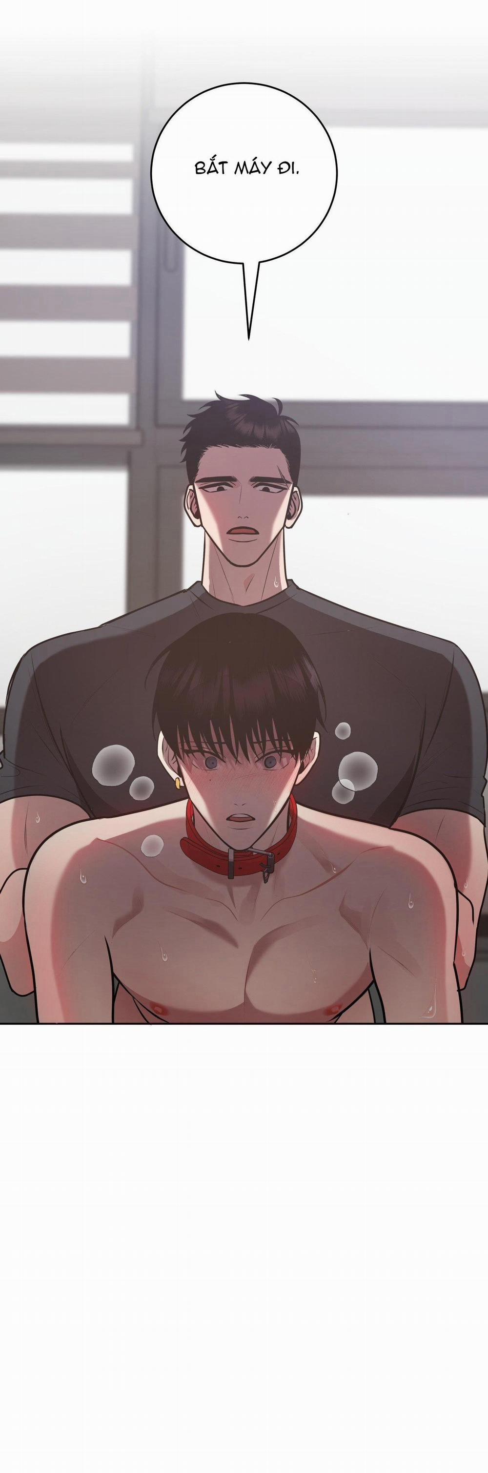 Điều 260 Bộ Luật Hình Sự 9 trang 35