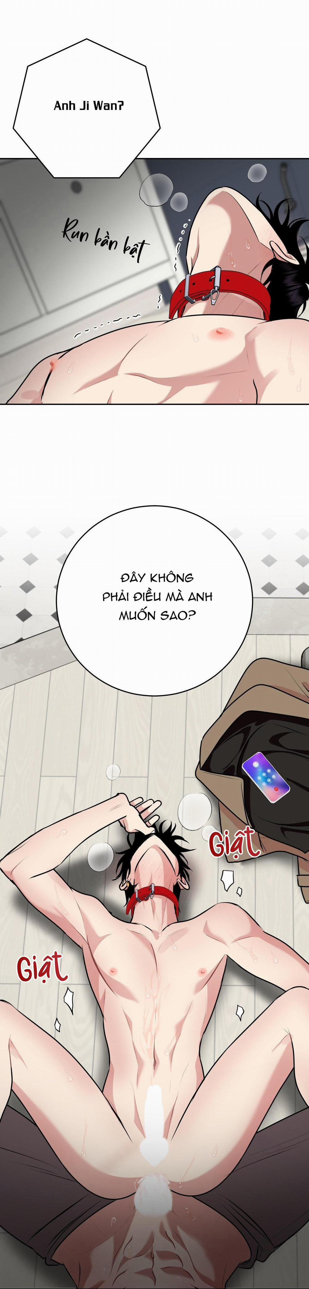 Điều 260 Bộ Luật Hình Sự 9 trang 49