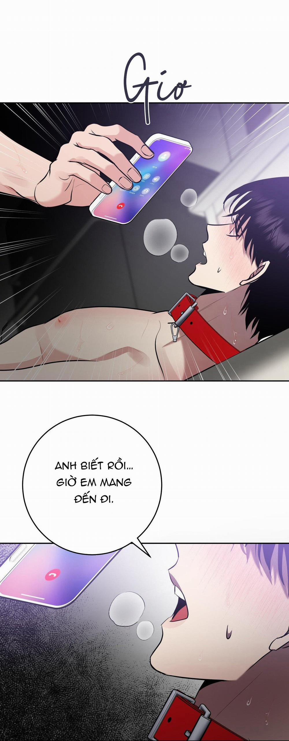 Điều 260 Bộ Luật Hình Sự 9 trang 52