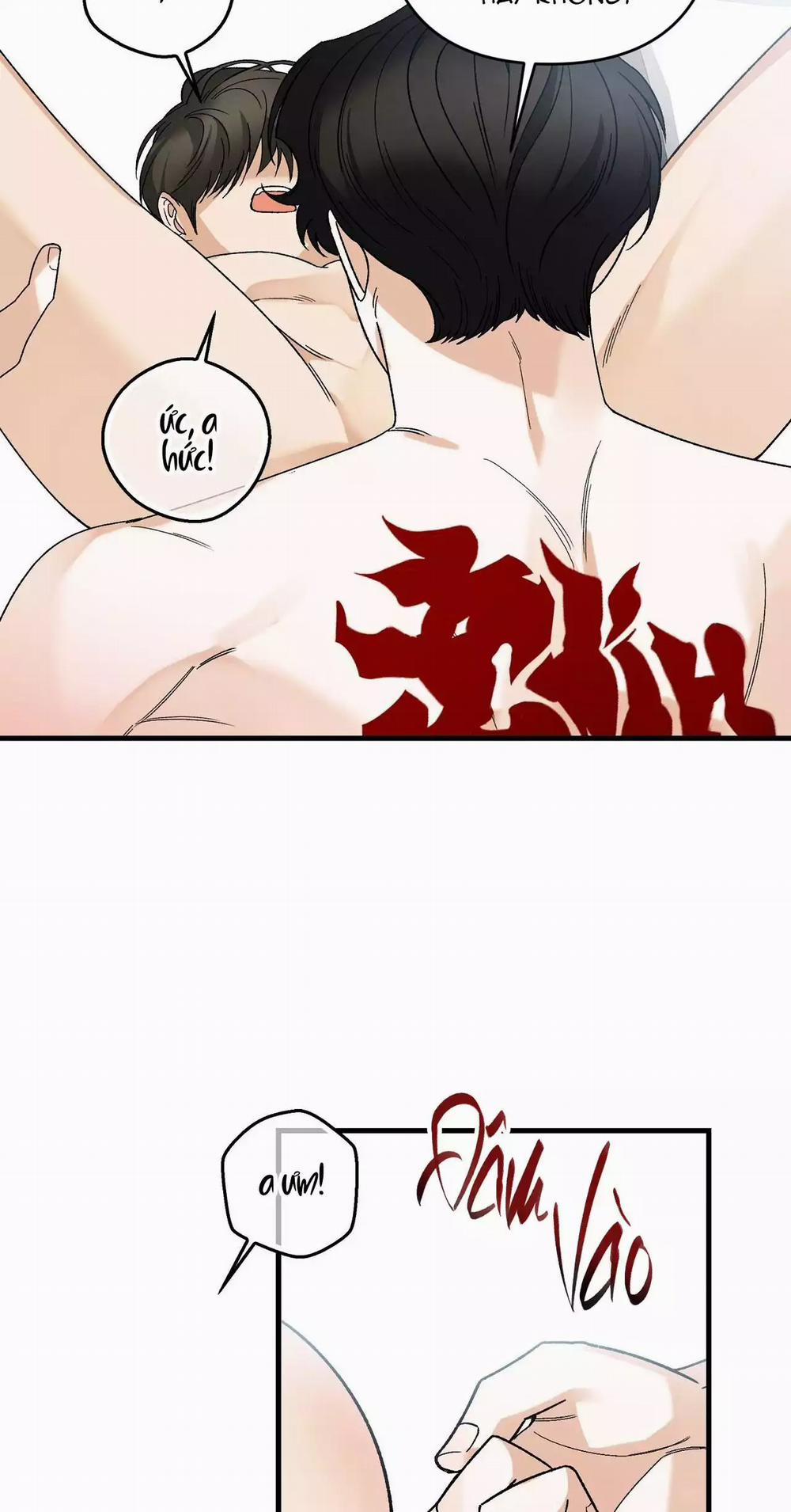 Điều Kiện Của Guide 51 trang 37