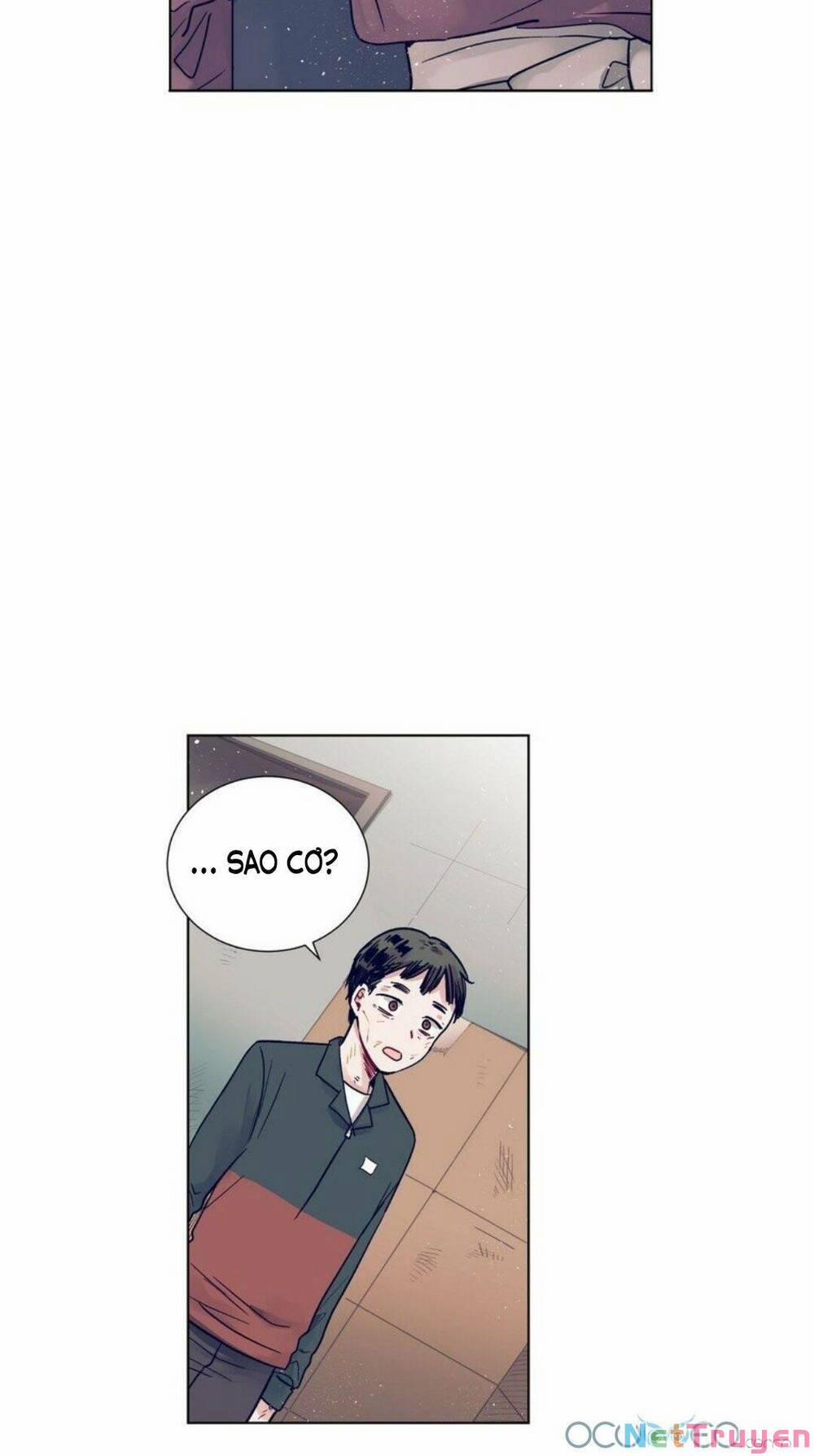 Điều Kỳ Diệu Ở Cậu 13 trang 23
