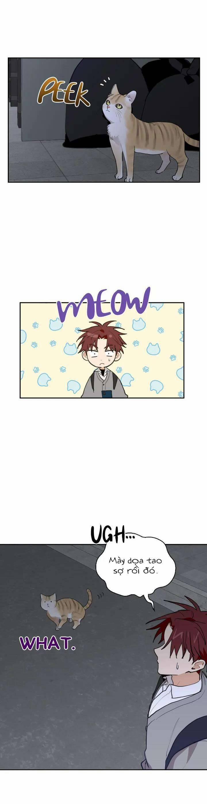 Điều Ước Sao Băng 18 trang 3