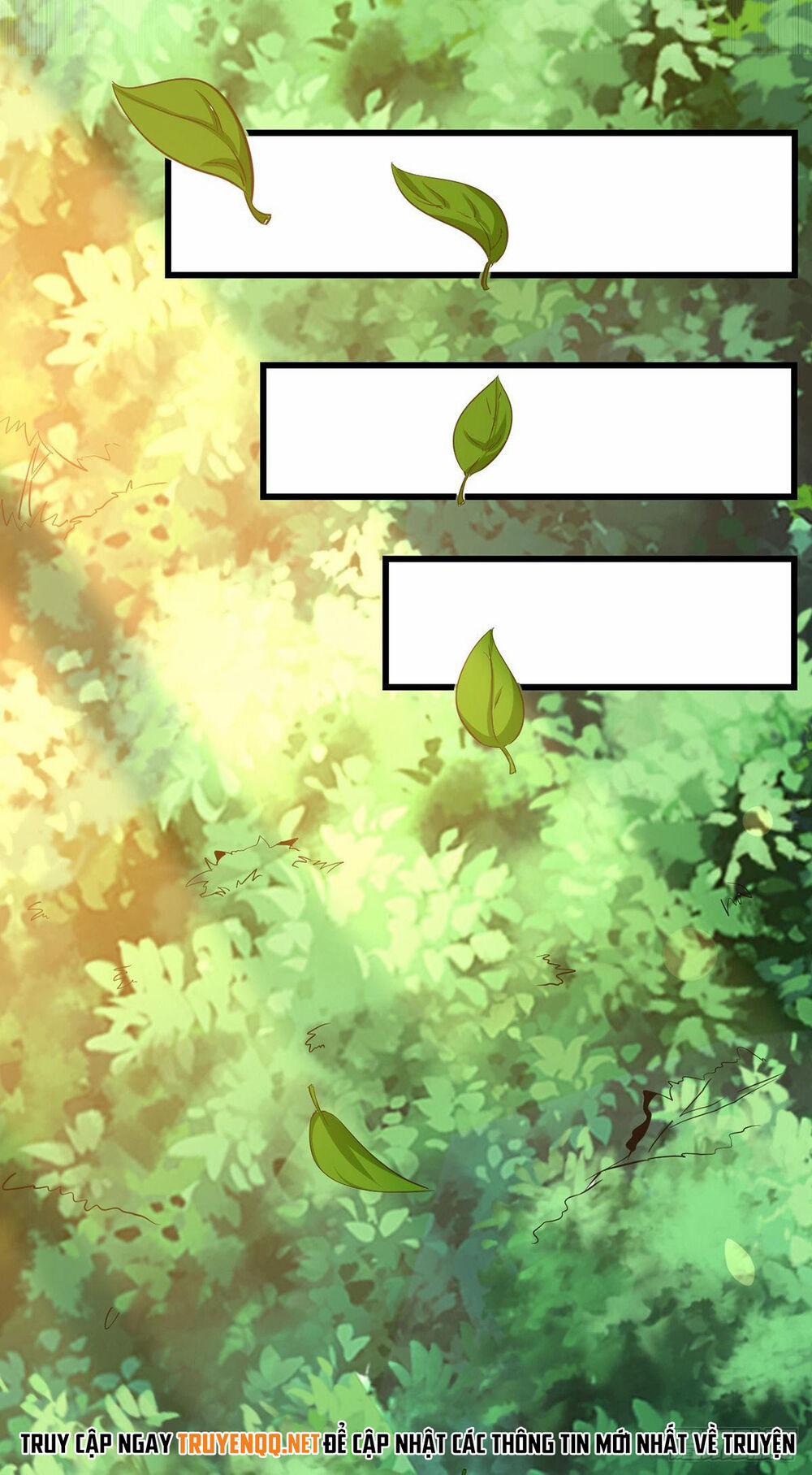 Đỉnh Cấp Võ Hồn 3 trang 17