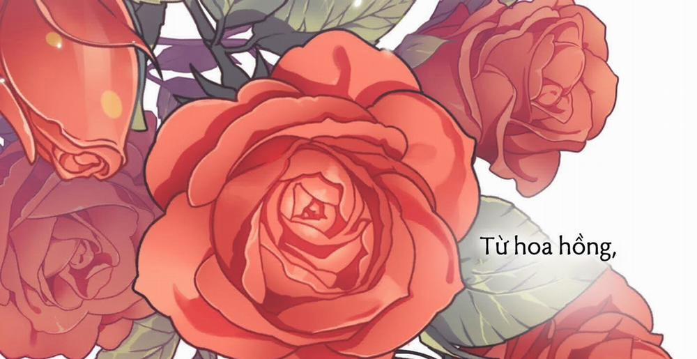 Định Rõ Mối Quan Hệ 28 trang 162