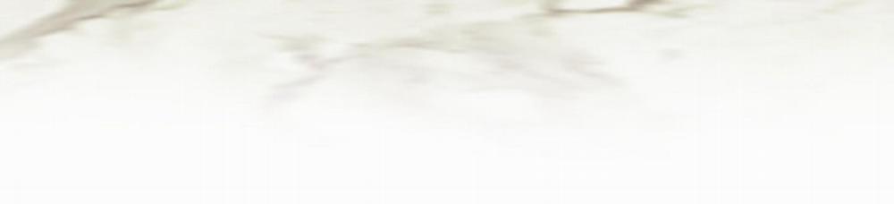 Định Rõ Mối Quan Hệ 28 trang 206