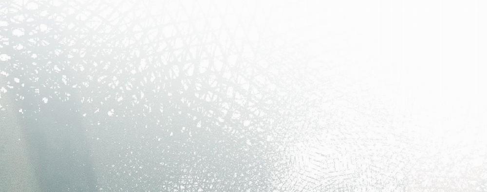 Định Rõ Mối Quan Hệ 41 trang 221