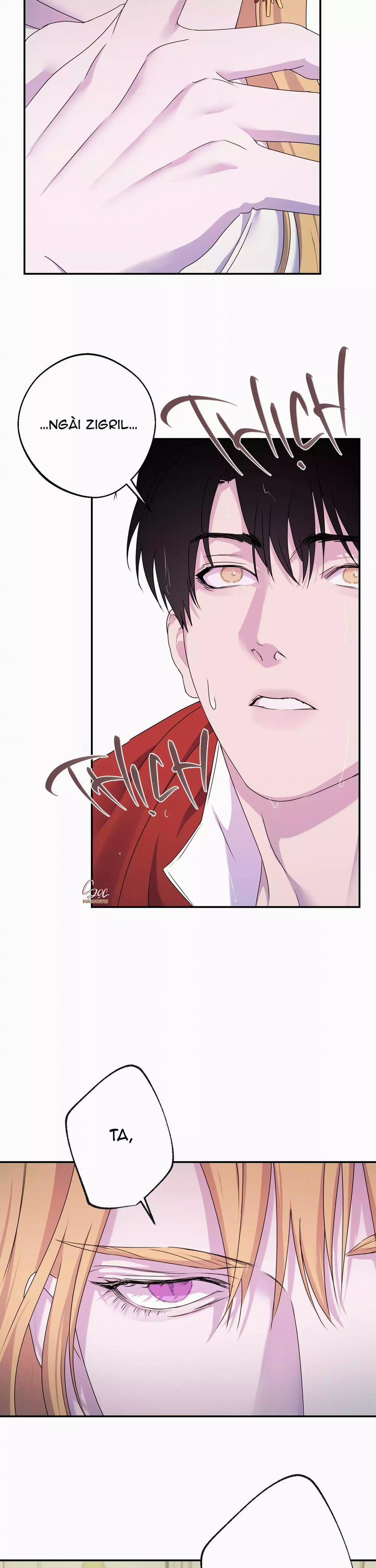 Đóa Hoa Của Alosha 33 trang 14