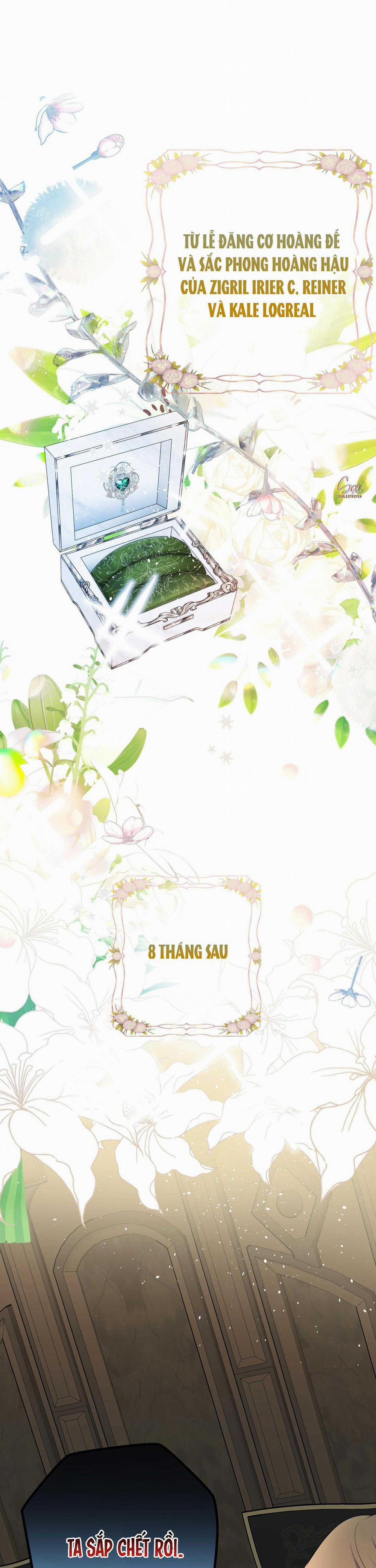 Đóa Hoa Của Alosha 35 trang 1