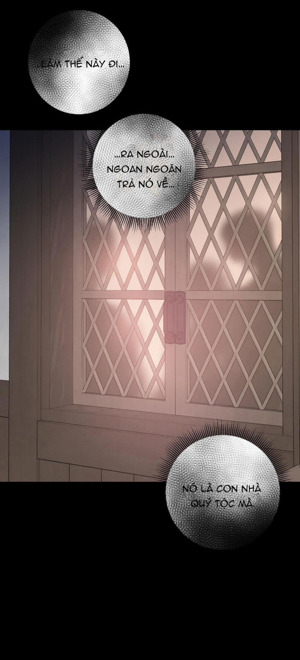 Đóa Hoa Của Mặt Trời 11 trang 5