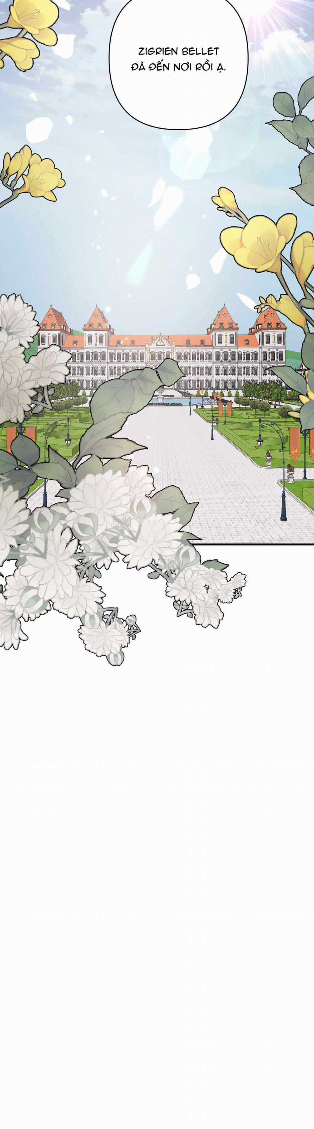 Đóa Hoa Của Mặt Trời 36 trang 52