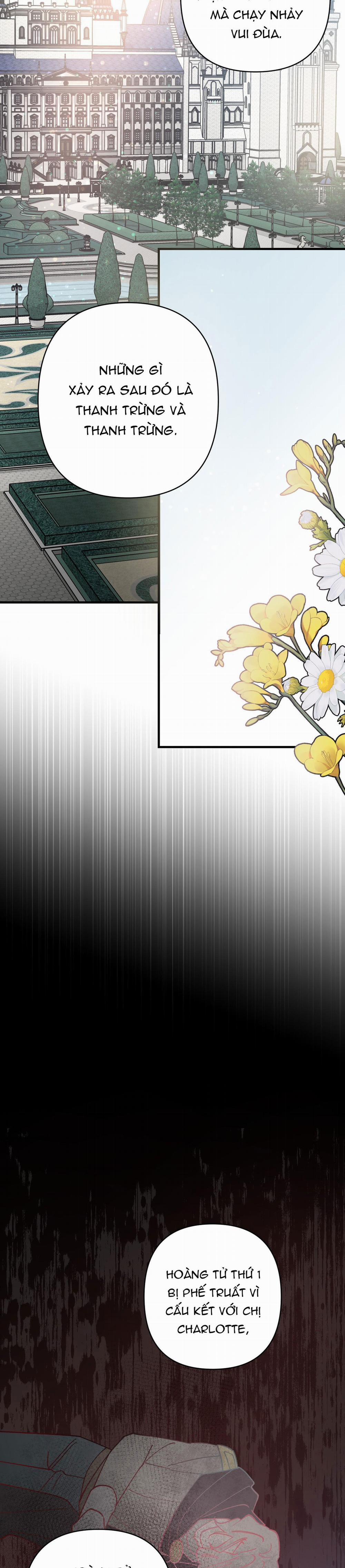 Đóa Hoa Của Mặt Trời 40 trang 26