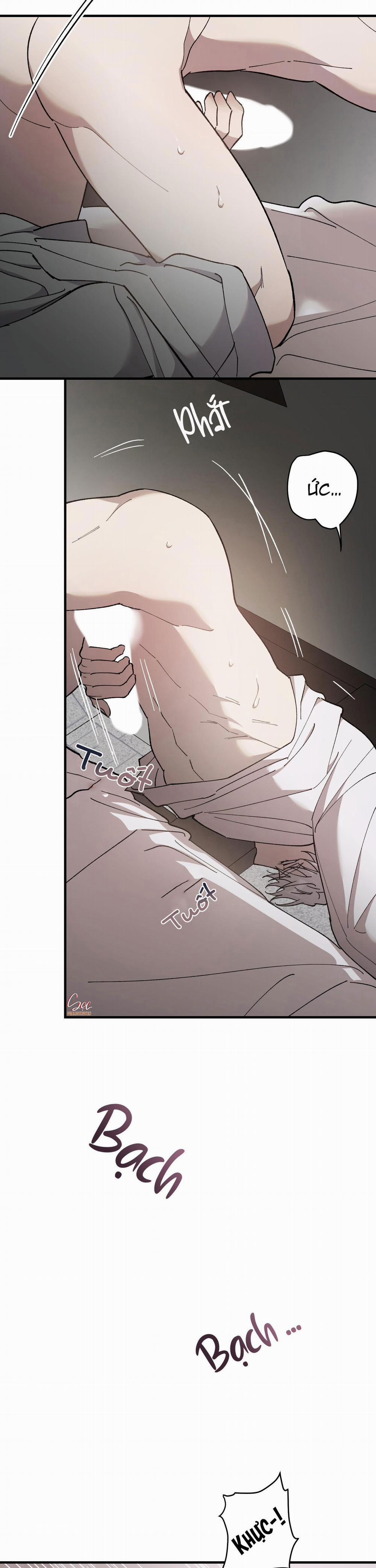 Đóa Hoa Của Mặt Trời 41 trang 21