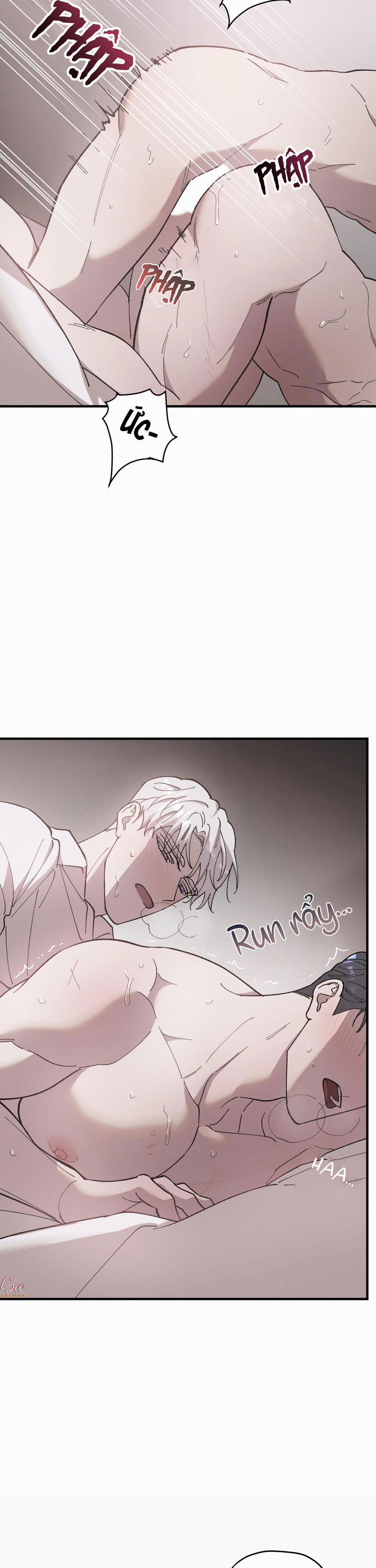 Đóa Hoa Của Mặt Trời 41 trang 22