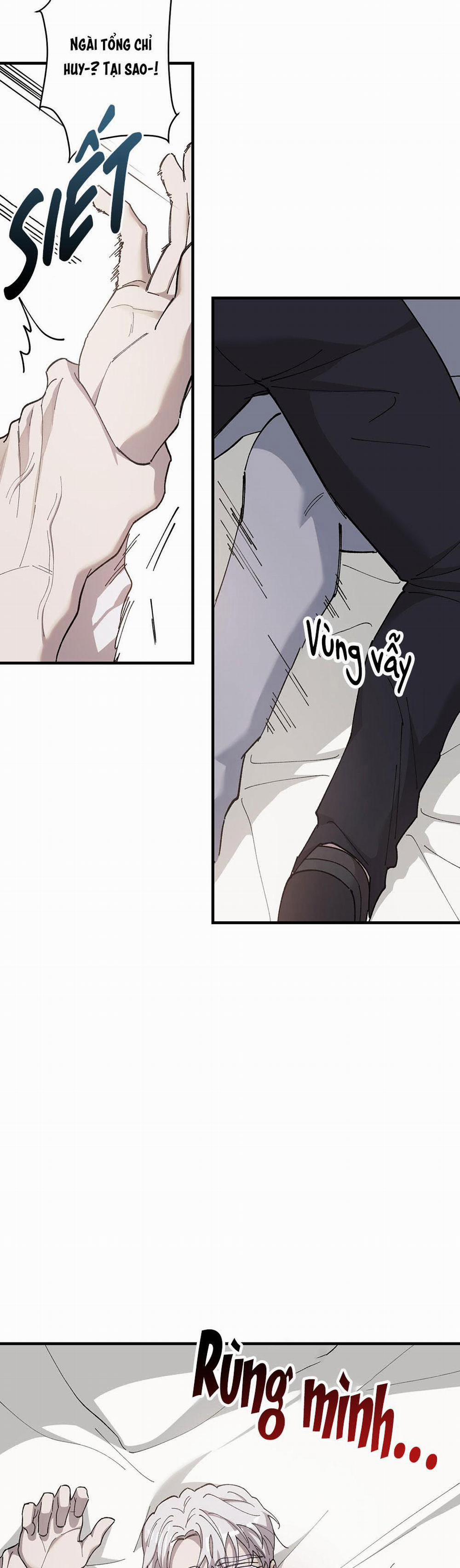 Đóa Hoa Của Mặt Trời 45 trang 21