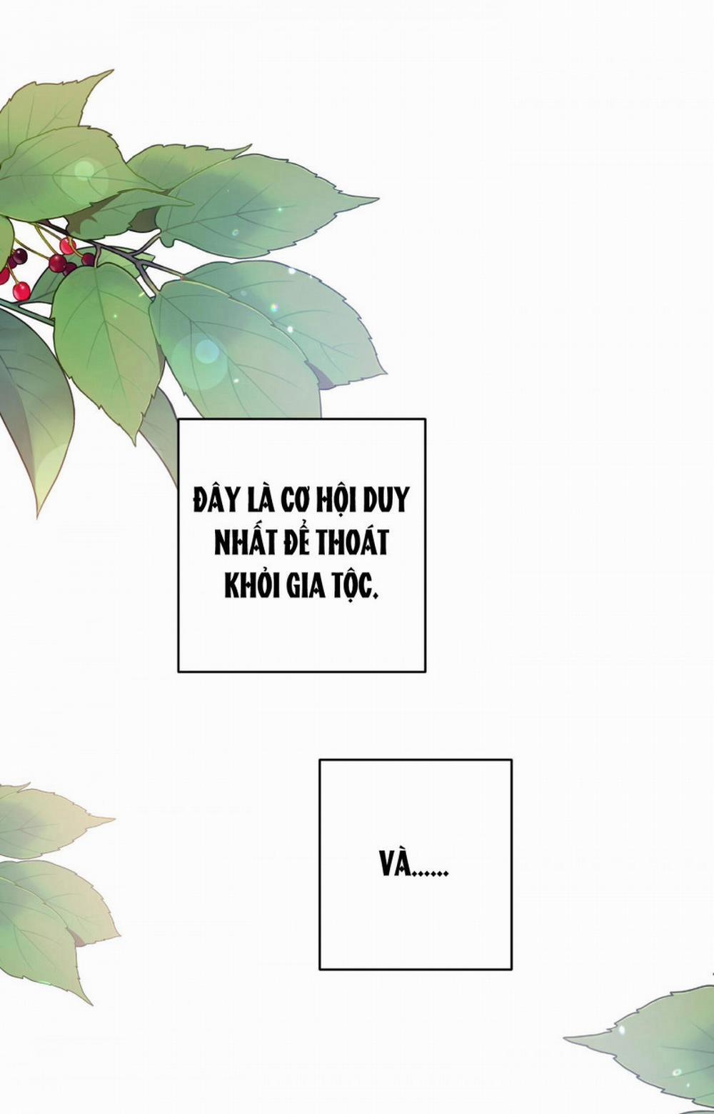 Đóa Hoa Của Mặt Trời 6 trang 27