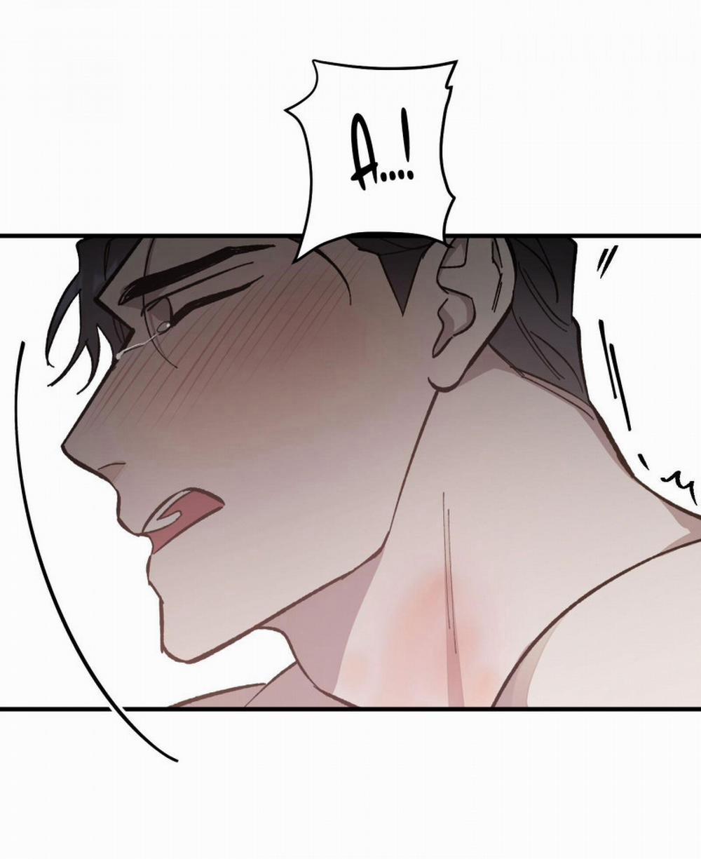 Đóa Hoa Của Mặt Trời 9.5 trang 1